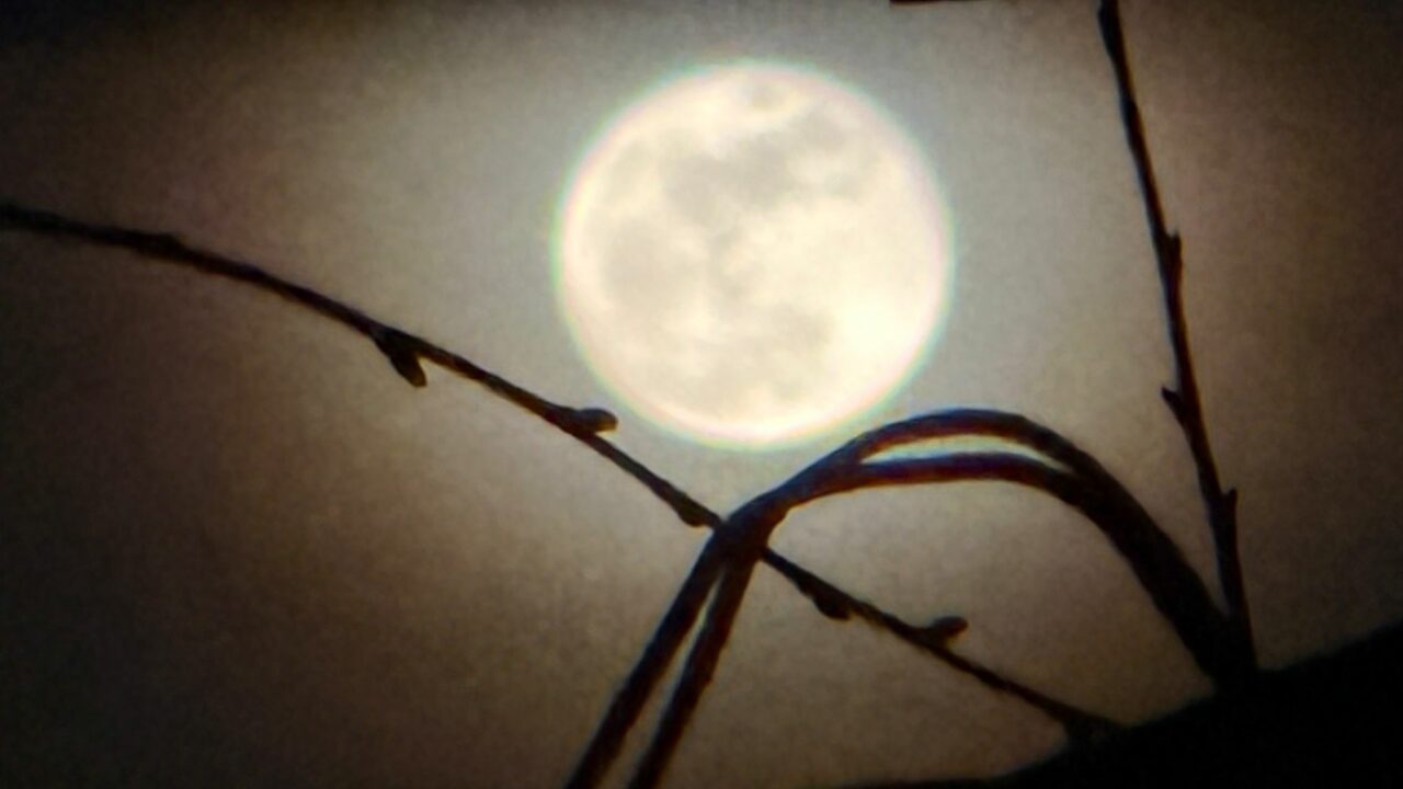 spectacol-pe-cer.-„luna-roz”-in-plina-splendoare