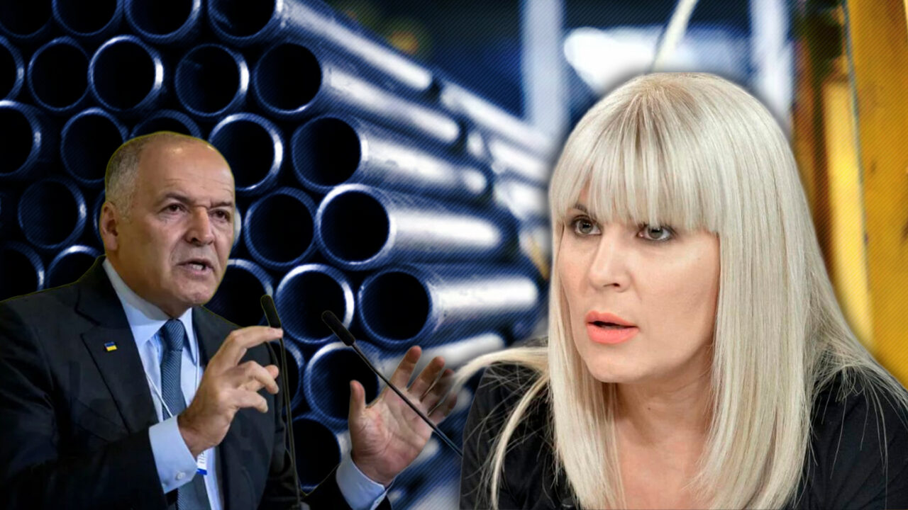 Elena Udrea critică decizia unui oligarh ucrainean de a cumpăra fabrica de la Roman