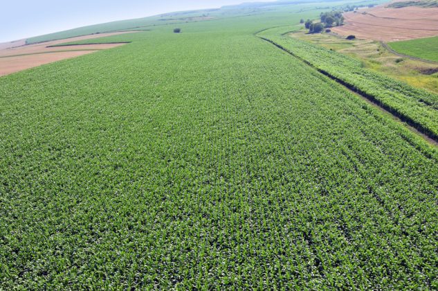 Fermierii au cultivat cu 30% mai mult în acest an agricol