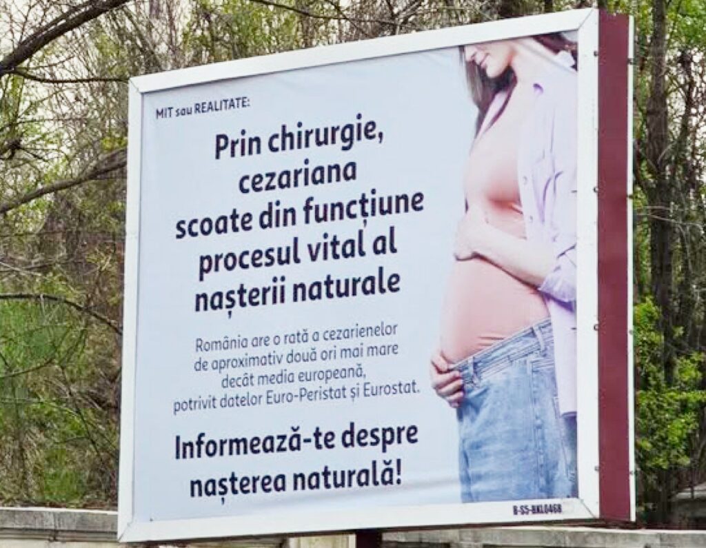 in-2026,-asa-ceva?-senatoarea-cynthia-paun-cere-interventie-de-urgenta-dupa-aparitia-unor-panouri-controversate