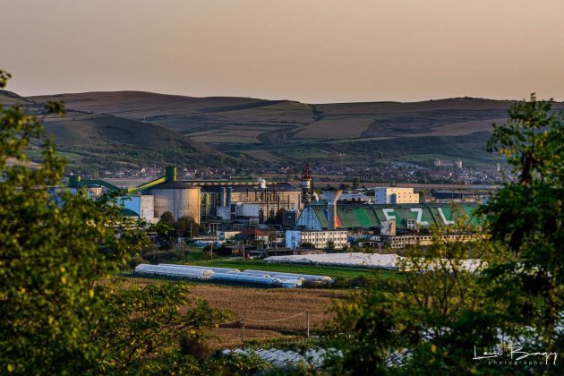 Fabrica de zahăr Zahăr Luduș a raportat afaceri în 2022