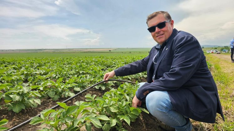 Interagroaliment a cerut insolvența după concedierea a 26 de angajați la Grup Șerban Holding