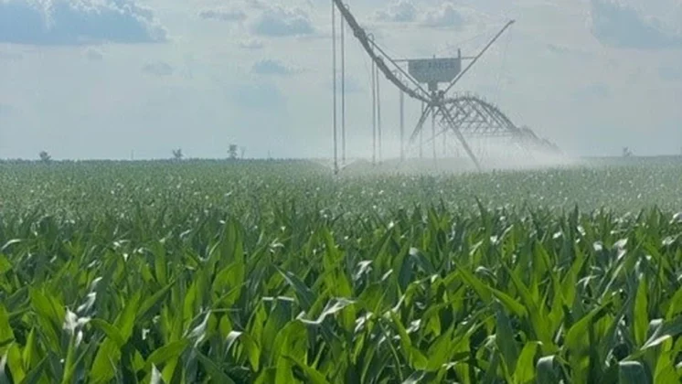 Danezii de la JD Agro Cocora, exploatație mare, au revenit pe profit