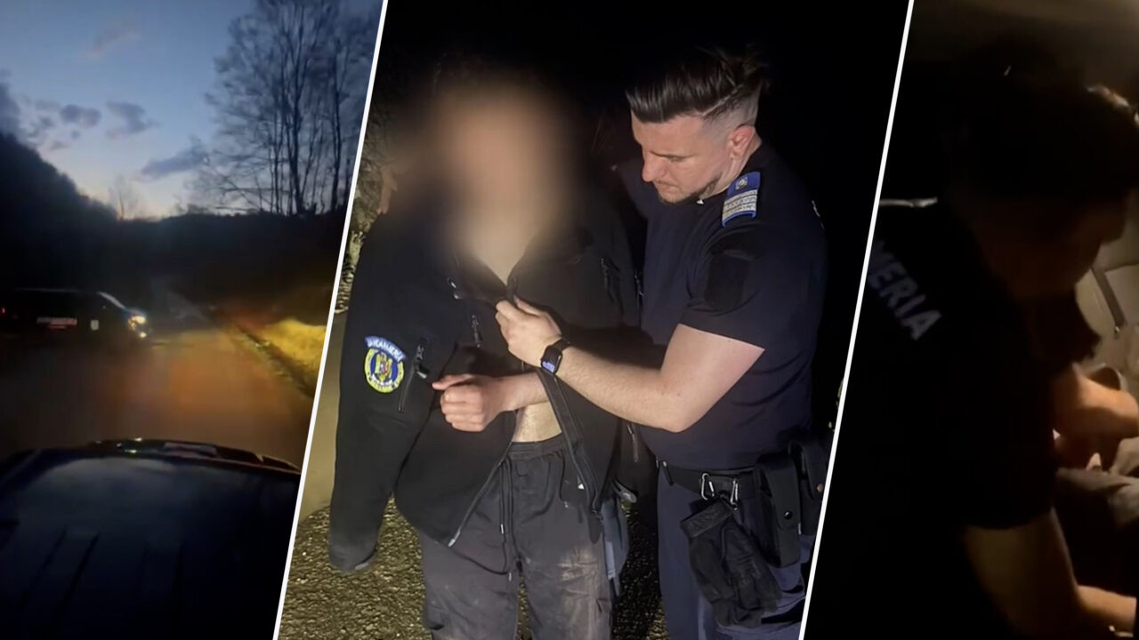 Tânăr urmărit de urs în pădure și-a abandonat motocicleta; salvat de jandarmi