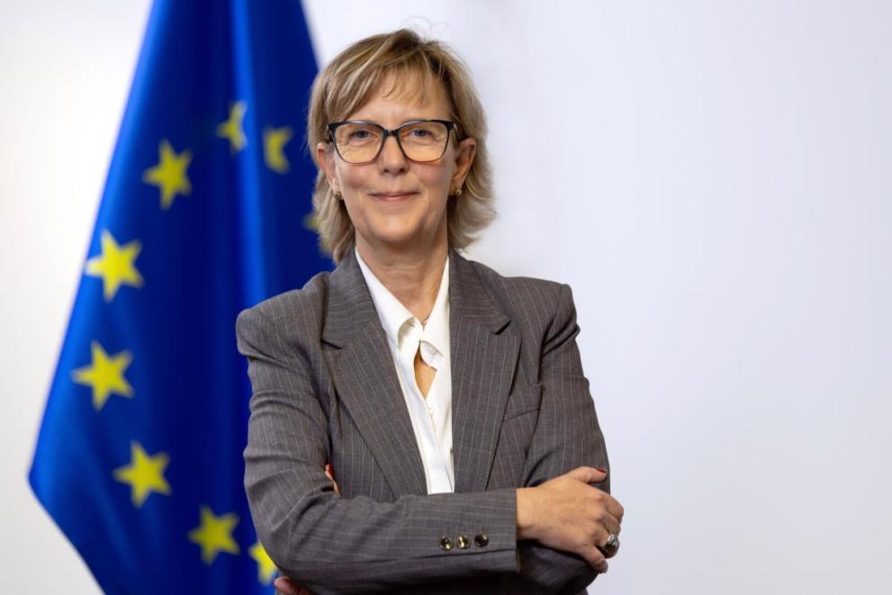 Oficial european vine la București din cauza crizei politice, anunță Bruxelles