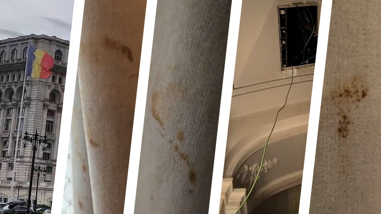 Draperiile grupului liberalilor din Parlament, murdare și mânjite, surprinse de Gândul