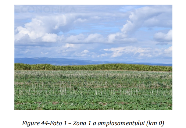 autostrada-brasov-fagaras-ar-putea-fi-lansata-la-licitatie-pentru-constructie-in-2026.-ce-se-intampla-cu-sectorul-bechtel-de-la-fagaras-la-targu-mures