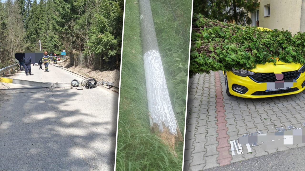 moldova-e-maturata-de-furtuna-zone-intregi-au-fost-luate-pe-sus-stalpi-de-inalta-tensiune,-banci,-copaci,-la-pamant.-vezi-imaginile-dezastrului