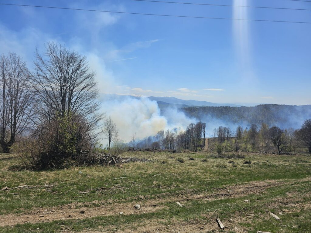 incendiu-de-vegetatie,-intetit-in-judetul-hunedoara-din-cauza-vantului-puternic.-pompierii-intervin