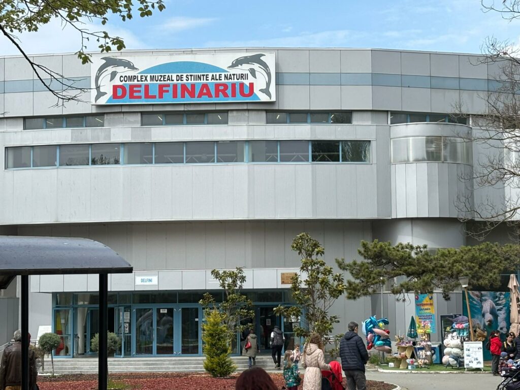 Cozi la Delfinariul din Mamaia în minivacanța de 1 Mai, prețul biletelor
