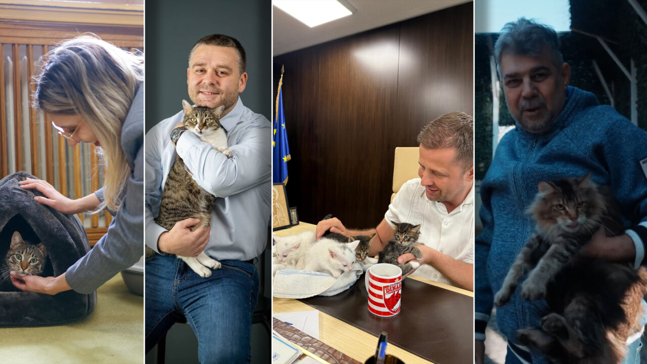 Pisicuțele din politica românească, cele mai cunoscute în România