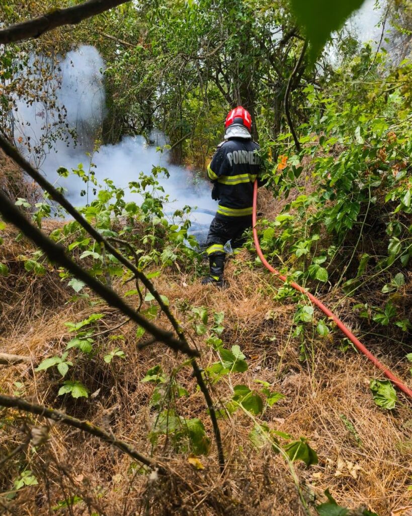 incendiul-de-padure-din-caras-severin:-inca-un-focar-a-izbucnit
