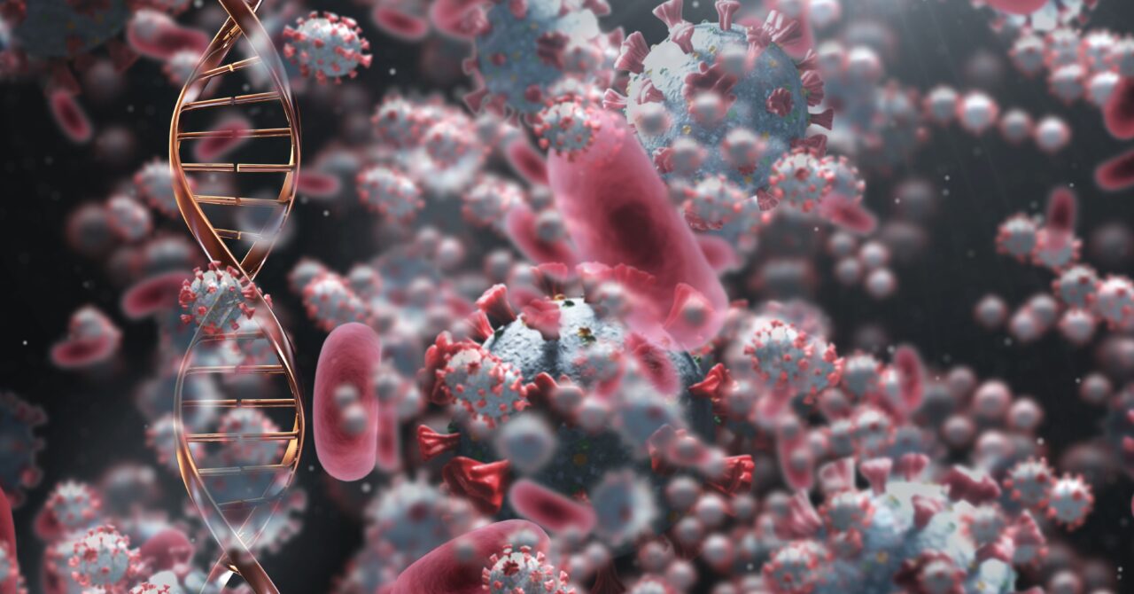 simptomele-virusului-care-a-speriat-america.-ce-trebuie-sa-stii-despre-hantavirus