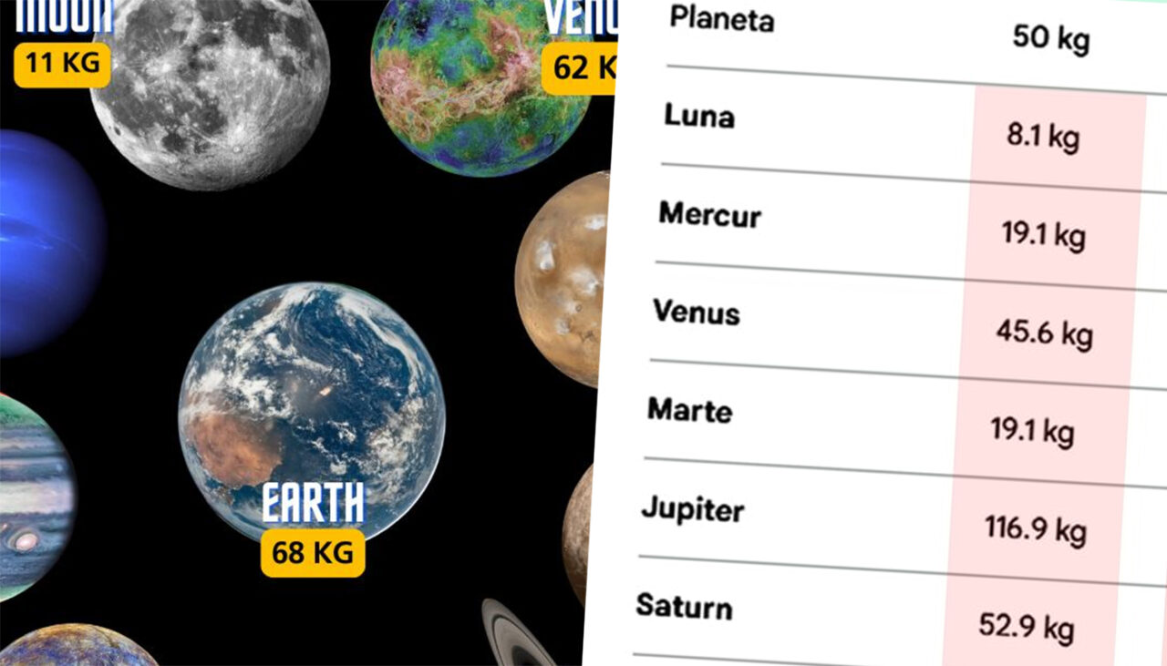 cate-kilograme-ai-avea-pe-alte-planeta-si-pe-luna,-in-functie-de-greutatea-ta-actuala,-de-pe-pamant.-unde-ai-fi-usor-ca-o-pisica-si-unde,-cat-un-urs