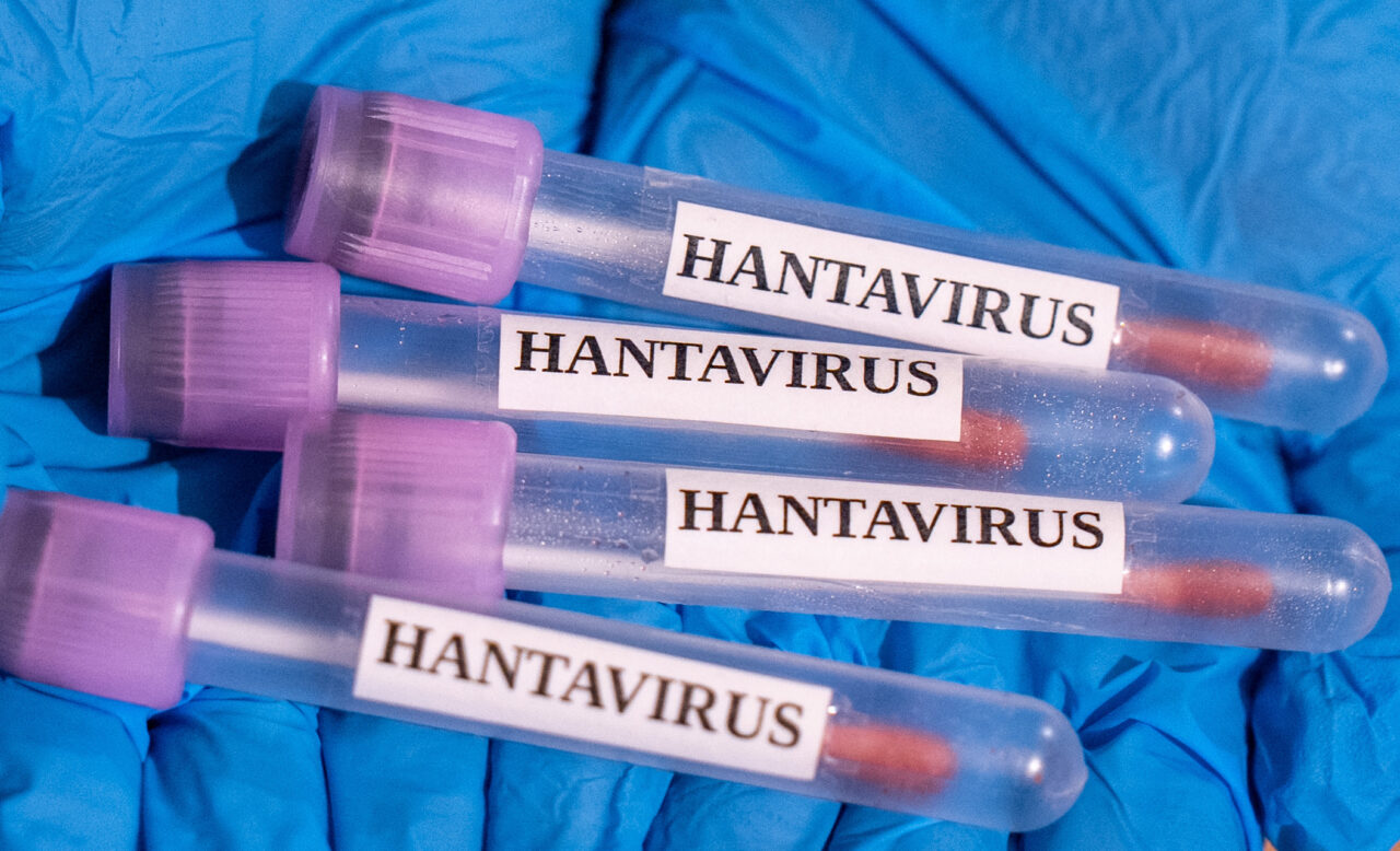 oms-a-confirmat-6-cazuri-de-hantavirus-la-bordul-vasului-de-croaziera-care-naviga-in-oceanul-atlantic