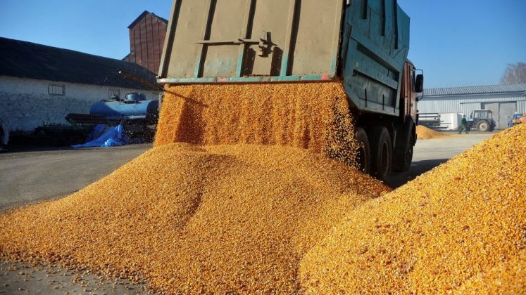 ce-romani-au-mai-ramas-in-clubul-select-al-miliardarilor-din-tradingul-de-cereale