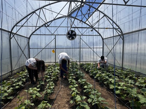foto-ferma-din-curtea-scolii:-de-la-sapa-la-senzori-si-drona.-povestea-liceului-agricol-din-braila-care-a-pariat-pe-tehnologie-si-atrage-sute-de-elevi-care-vor-sa-invete-agricultura-viitorului