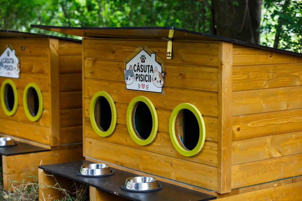 Primăria Cluj-Napoca montează căsuțe pentru pisicile comunității
