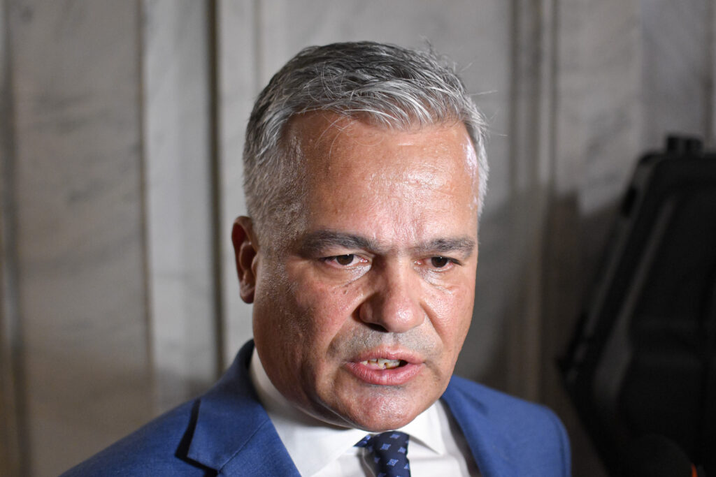 Adrian Veștea afirmă că scopul este formarea unei majorități largi