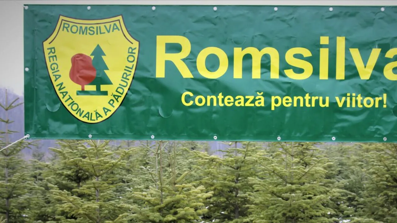 iccj-a-dat-verdictul-intr-un-dosar-cu-miza-uriasa