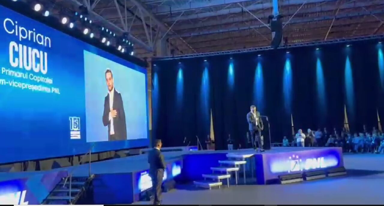 Țapul ispășitor pentru criza din PNL este sistemul