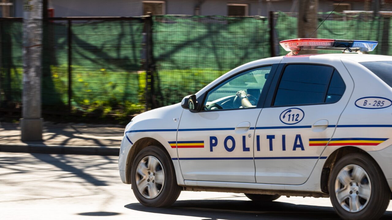 un-medic-stomatolog-si-2-politisti-din-timis-sunt-cercetati-dupa-ce-au-impuscat-animale-salbatice-cu-arme-detinute-ilegal.-ce-au-descoperit-anchetatorii