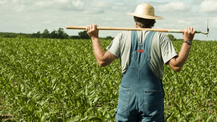 Interagroaliment, în insolvență, are datorii de peste 83,3 milioane de euro