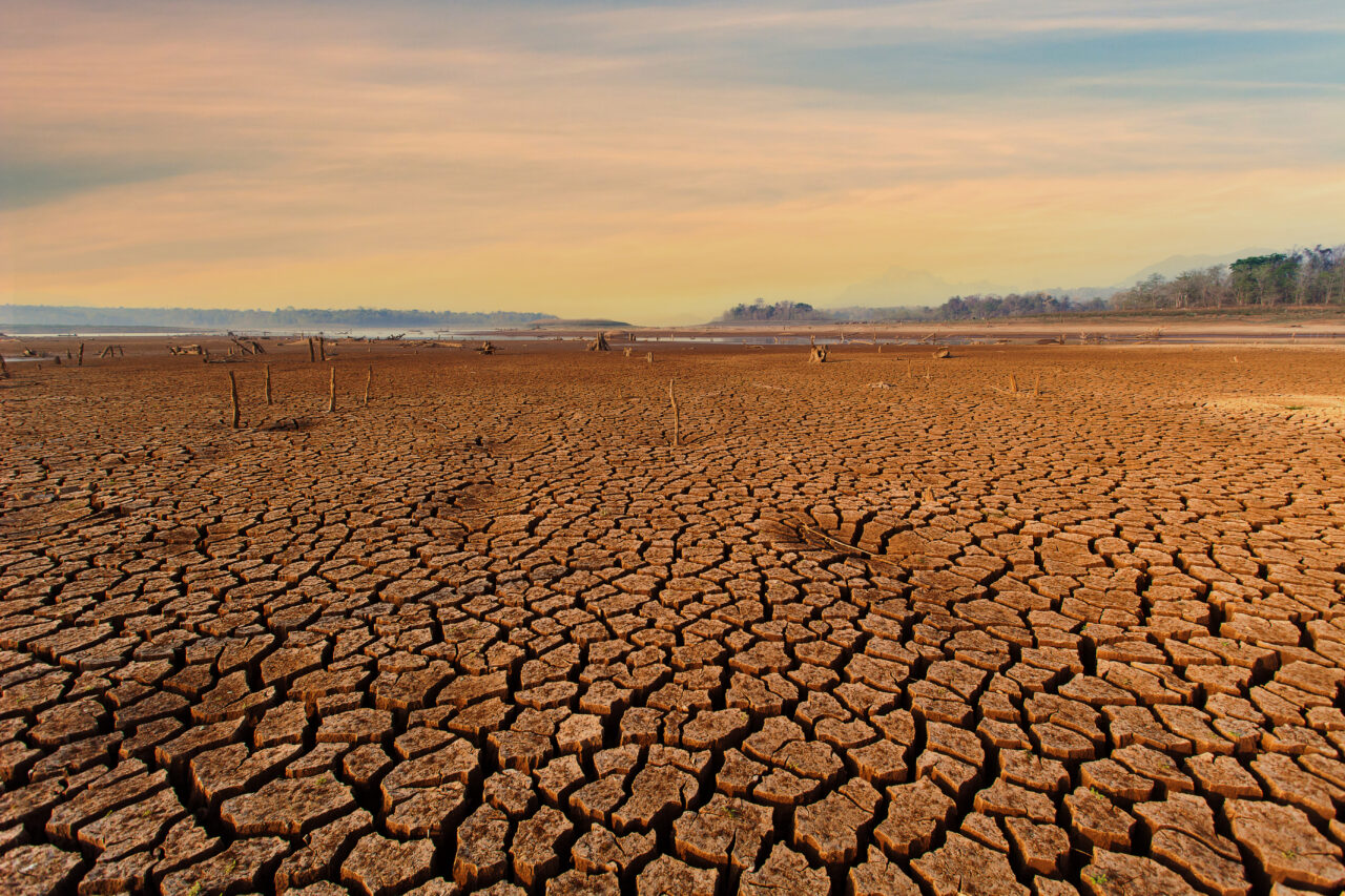 fenomenul-super-el-nino-intra-intr-o-faza-critica-si-ameninta-cu-temperaturi-record-si-seceta.-ce-urmeaza-in-urmatoarele-luni