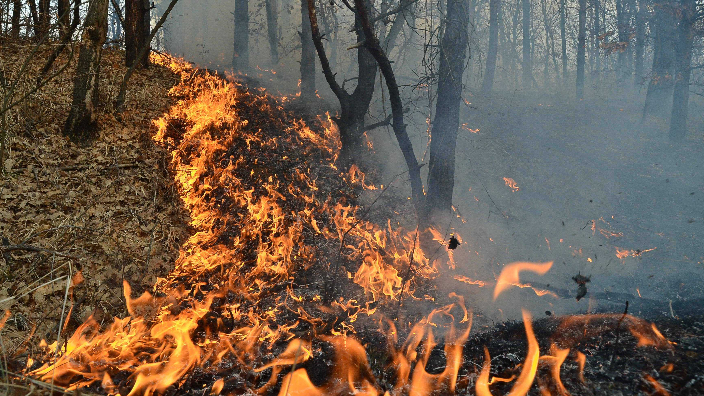 MAE emite avertisment pentru Italia privind incendii de vegetație în Sardegna și Sicilia