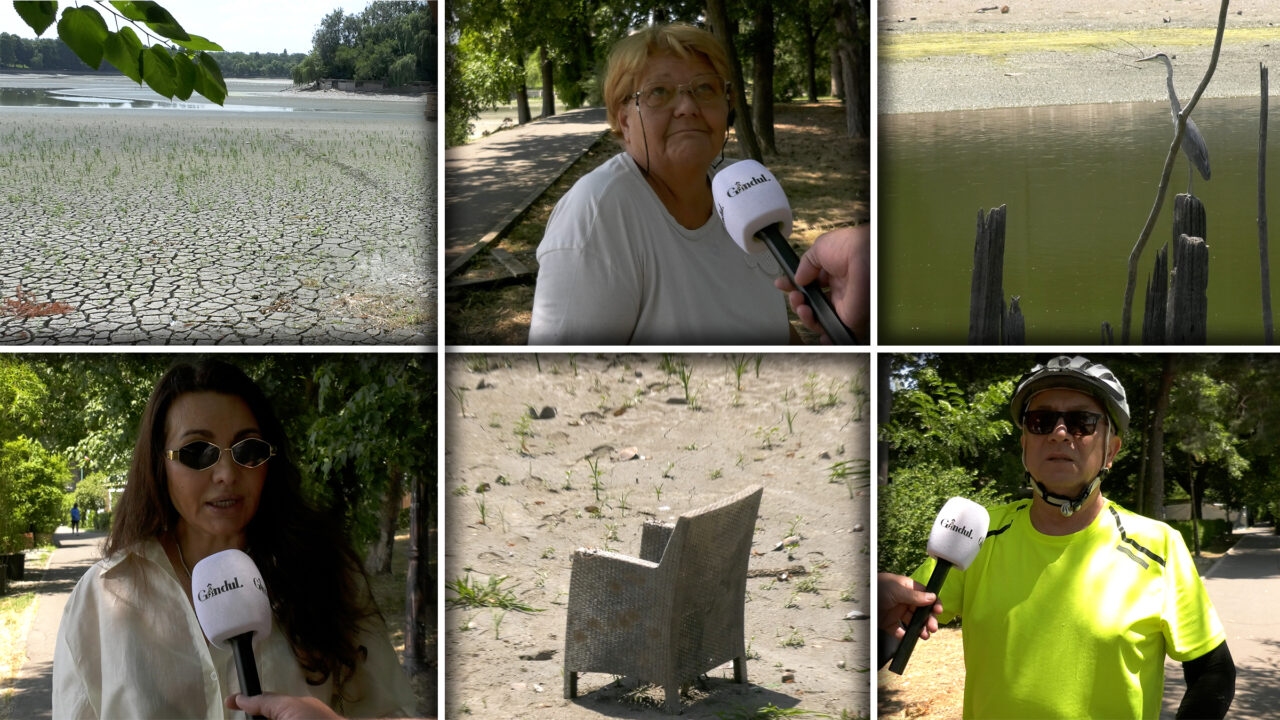 lacul-herastrau,-secat-si-plin-de-gunoaie-si-de-mlastina-in-zona-centrala-nu-e-picior-de-muncitor.-trecatorii-sunt-furiosi:-l-au-lasat-asa-in-plina-vara-/-cum-se-apara-constructorul