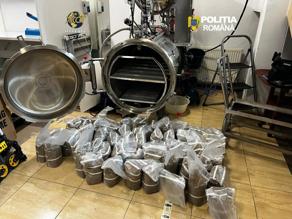 Rețea de trafic cu ciuperci halucinogene, destructurată de DIICOT