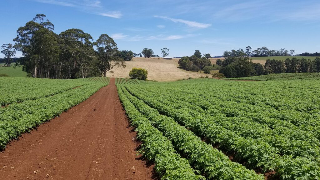 Descoperire ce poate contribui la rezolvarea problemelor agricole moderne